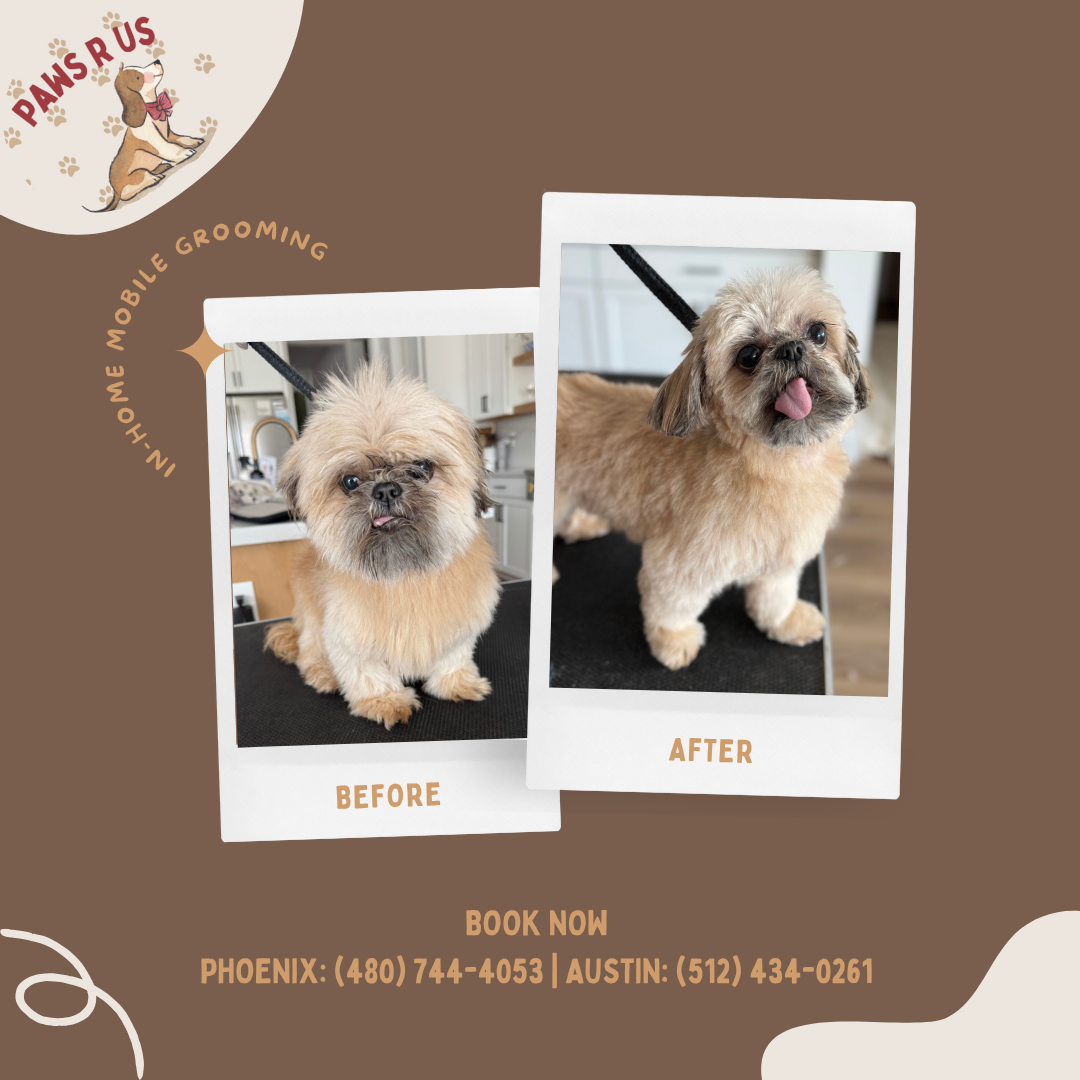 Paws R Us In-Home Mobile Grooming