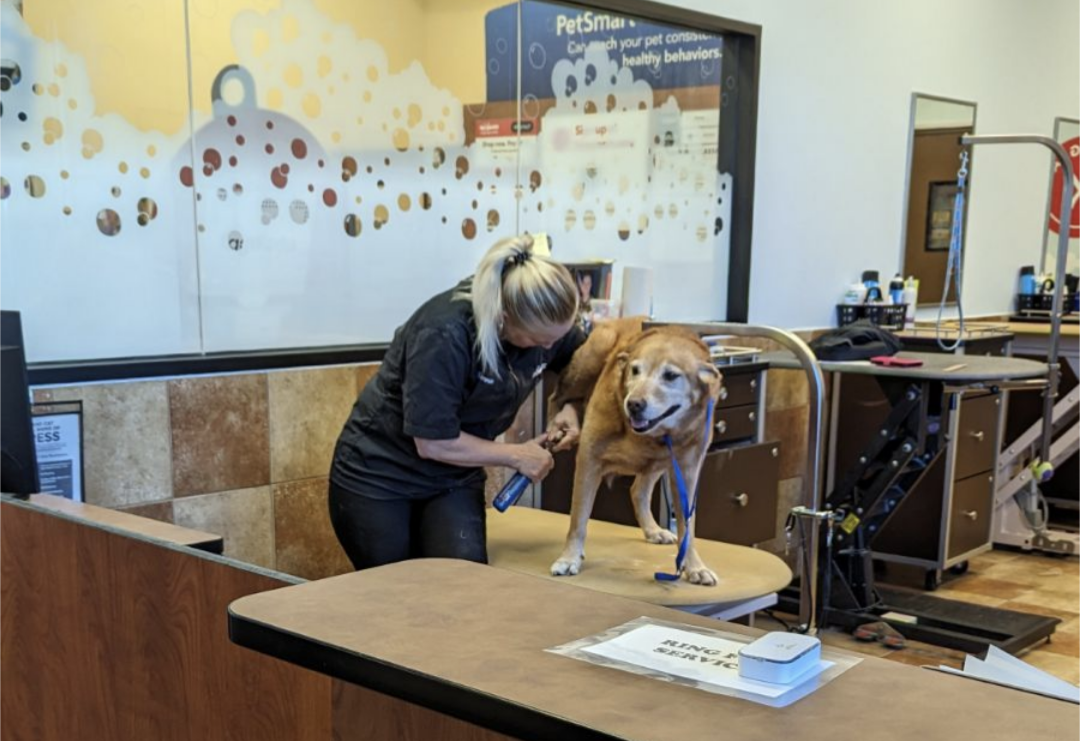 PetSmart Grooming