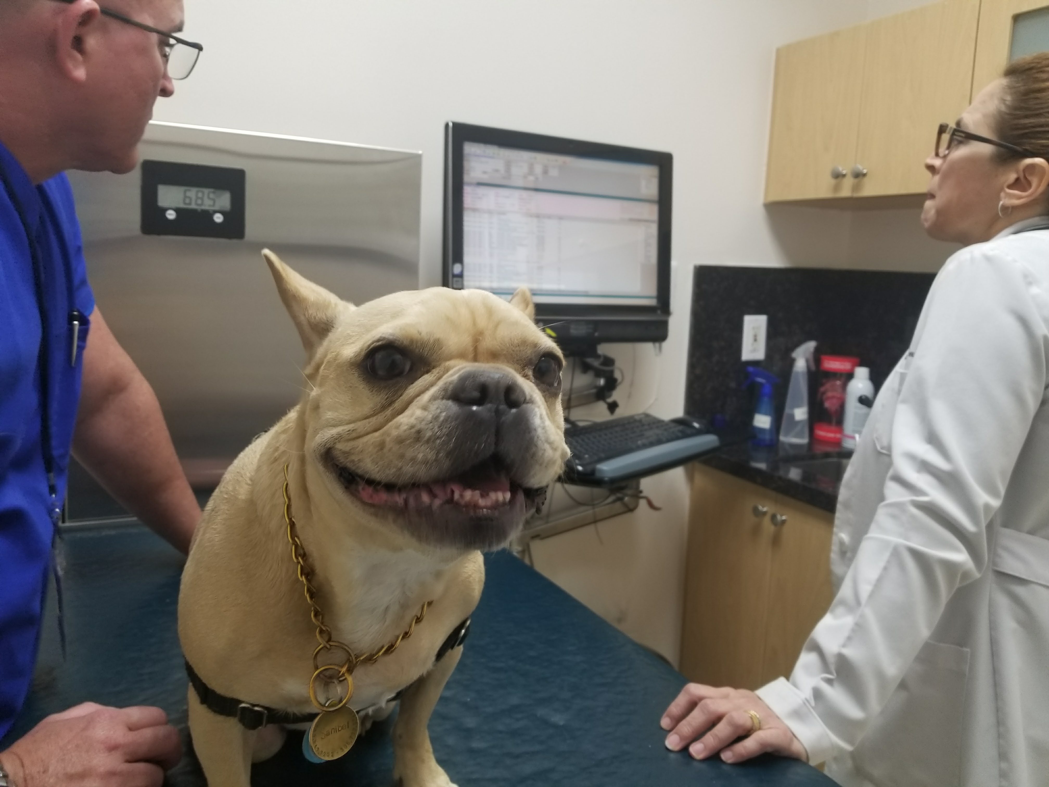 Pet Lovers Animal Clinic @SW 8th St