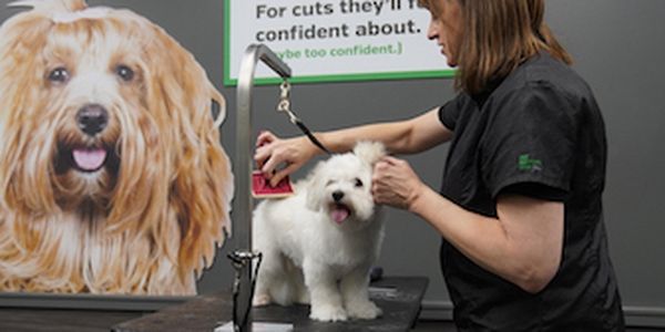 Pet Supplies Plus Archer-Ashland