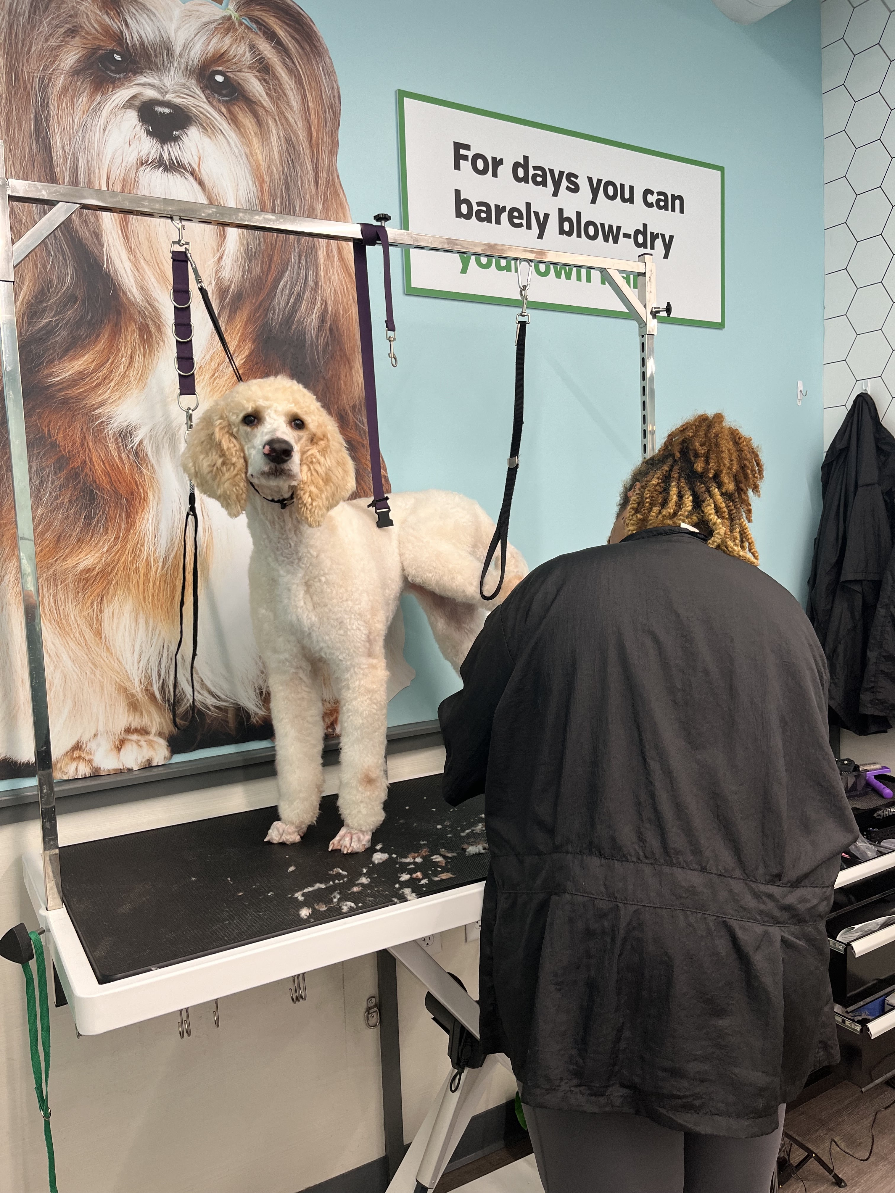 Pet Supplies Plus Houston (Braes Heights)