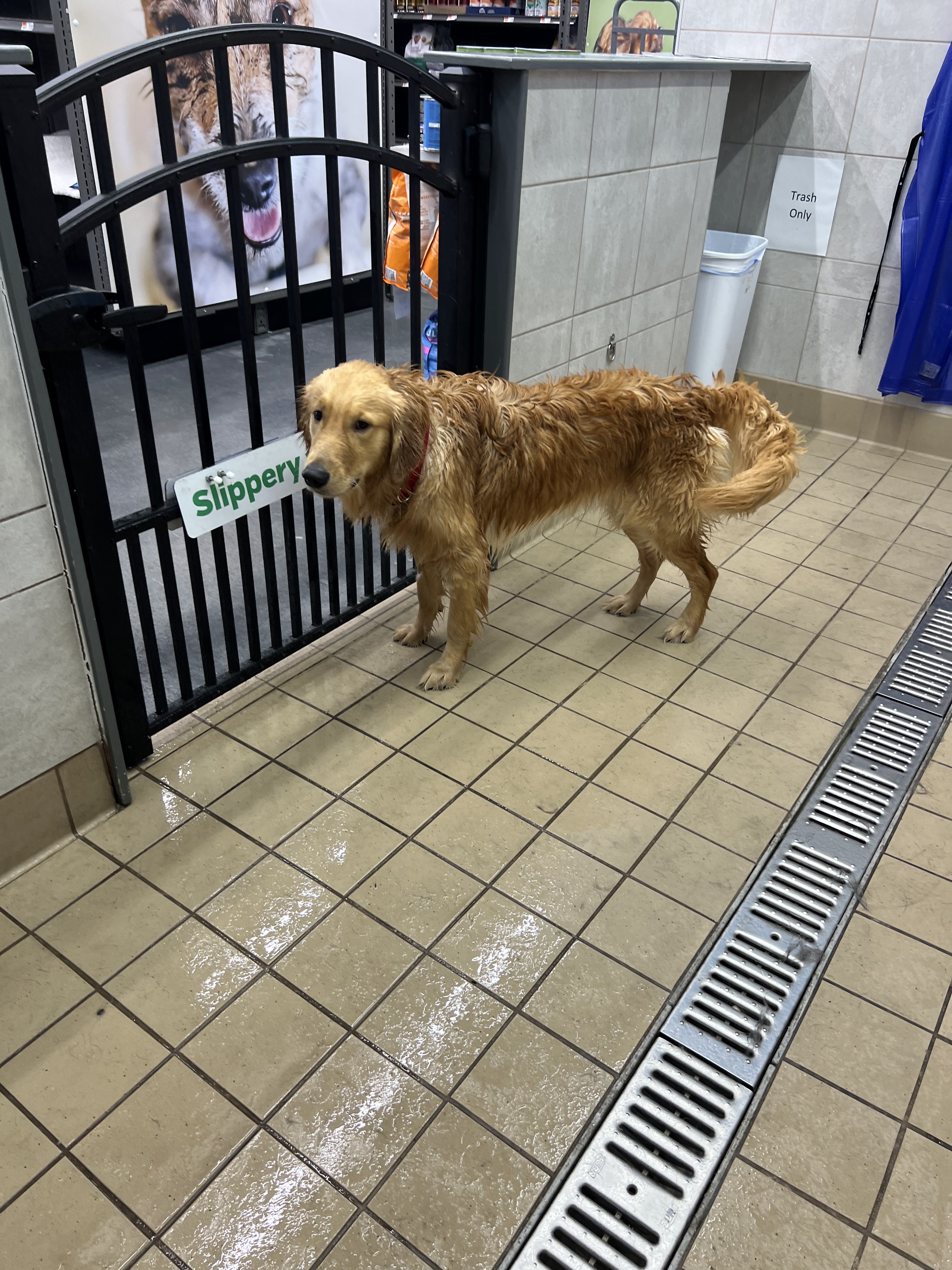 Pet Supplies Plus Houston - Lower Heights