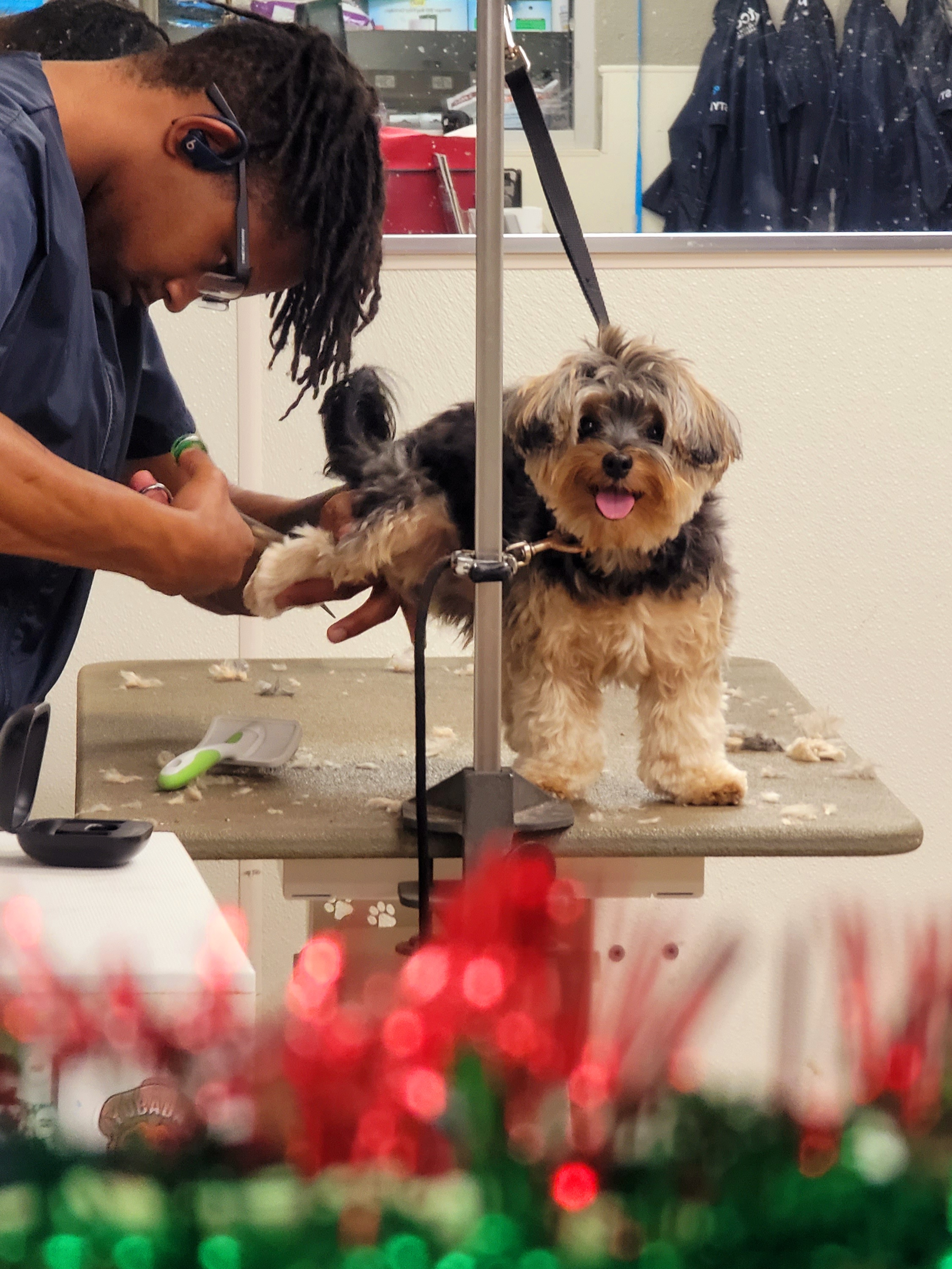 Petco Grooming