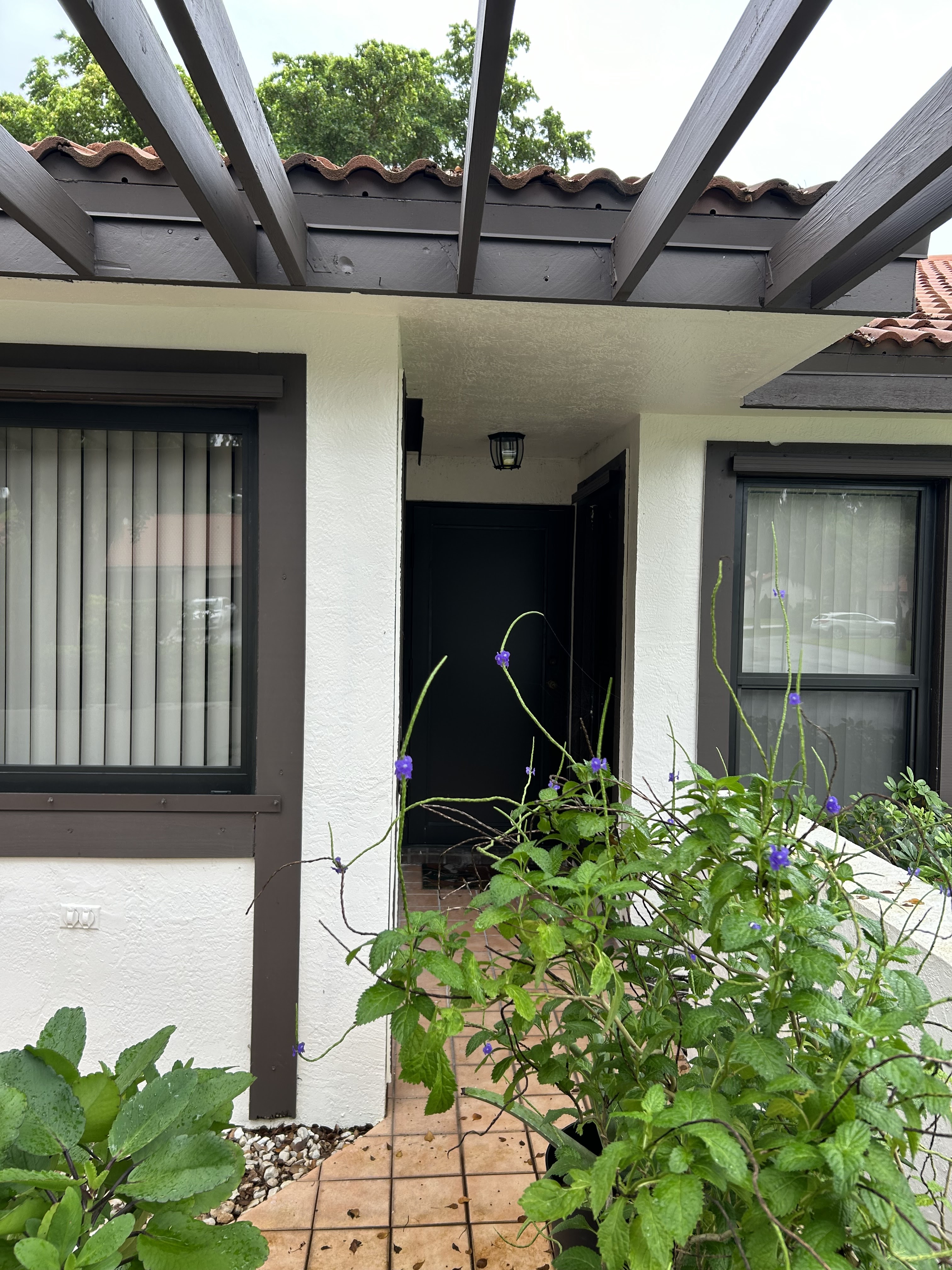 Resistant Windows and Doors