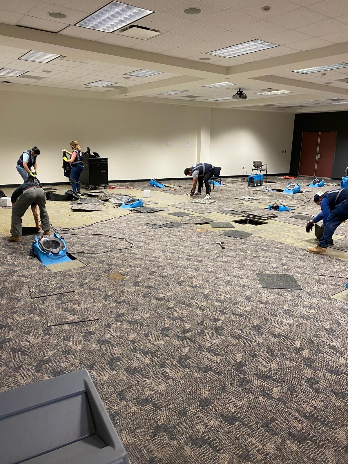 Shield Remediation