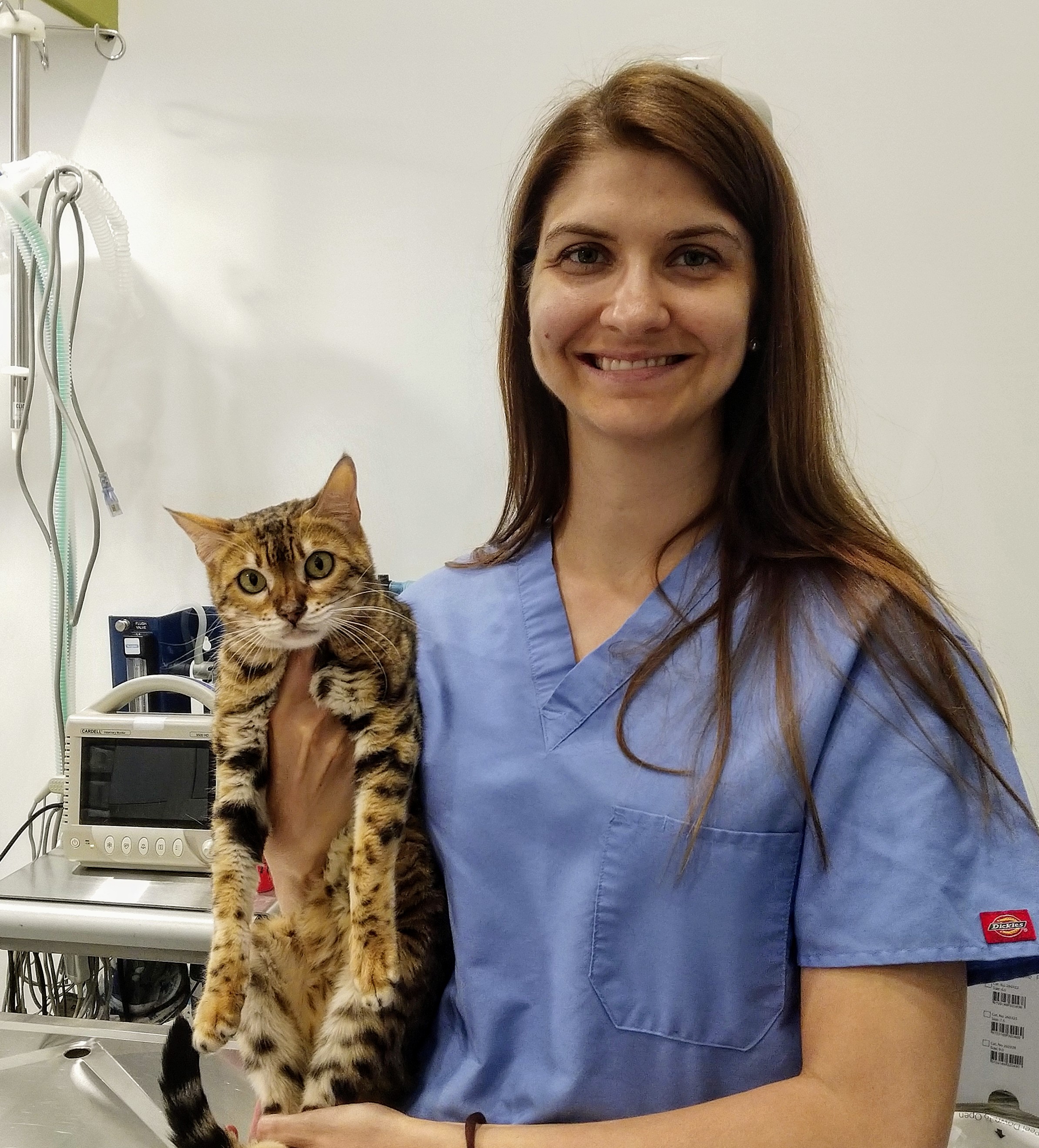 The Animedic Veterinary Hospital