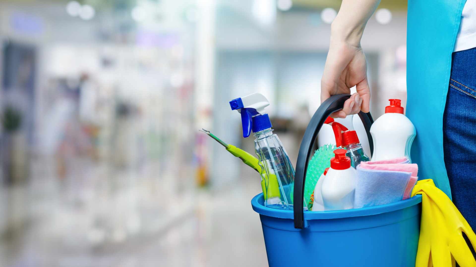 Tidy Bear Commercial Cleaning