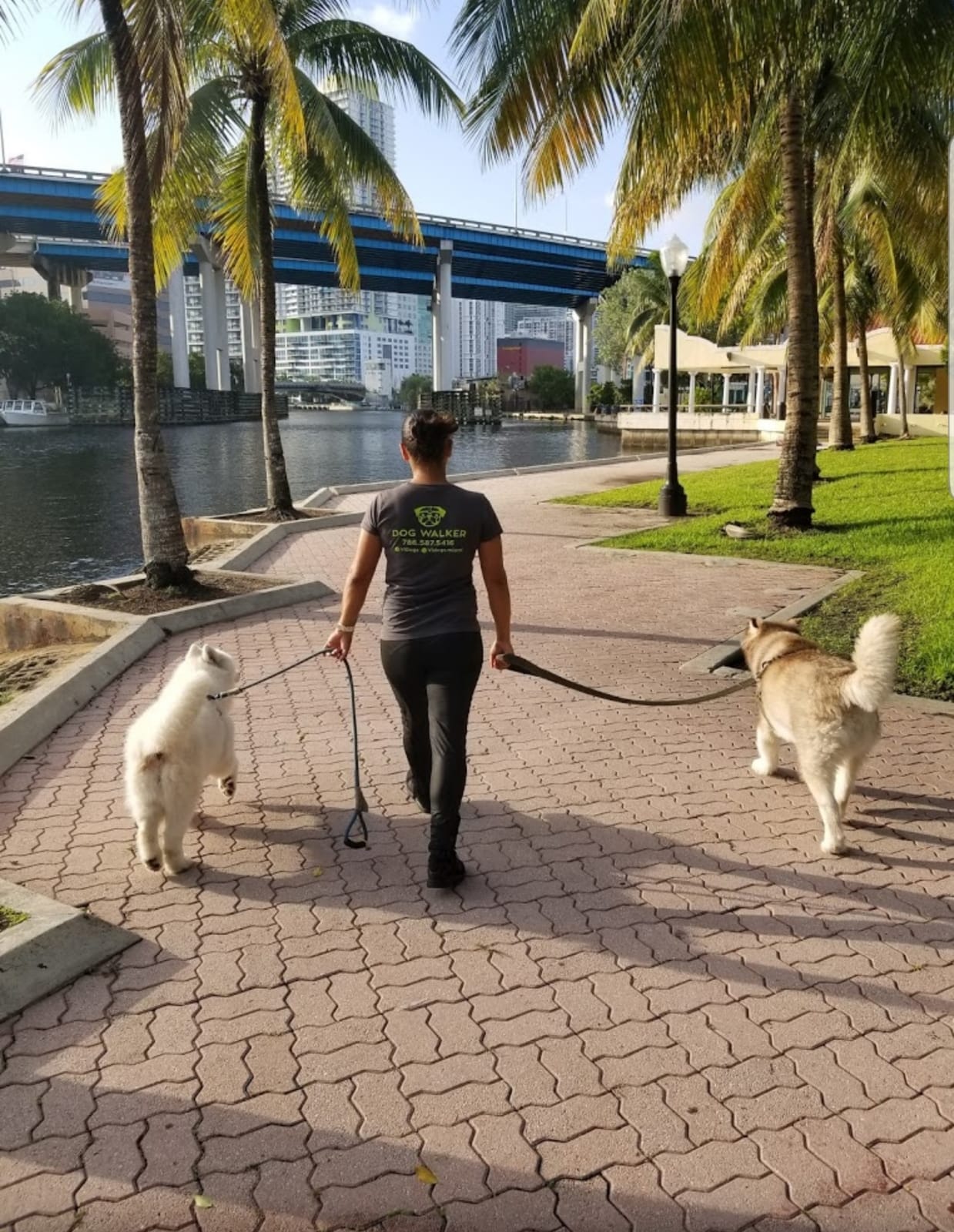 Vidogsmiami