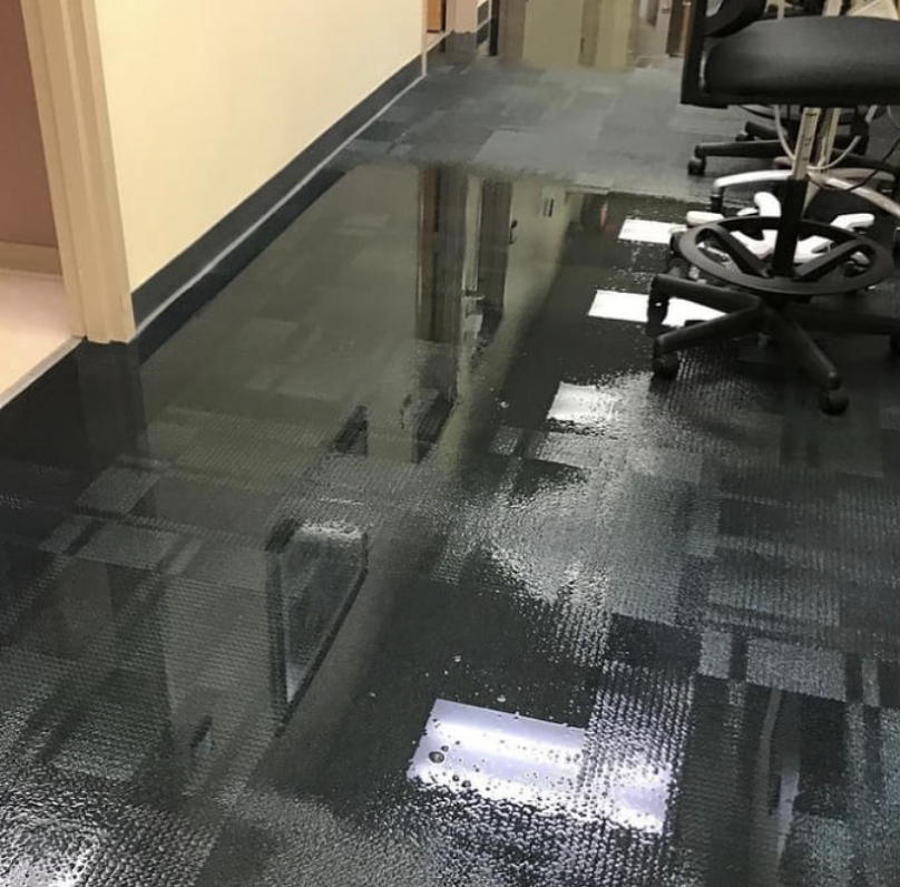 Villain's Sanitation & Restoration Pros