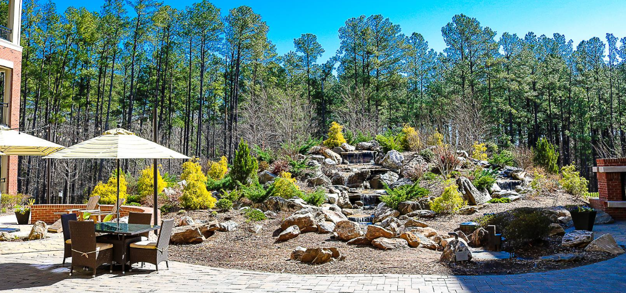 Vision Green Landscape