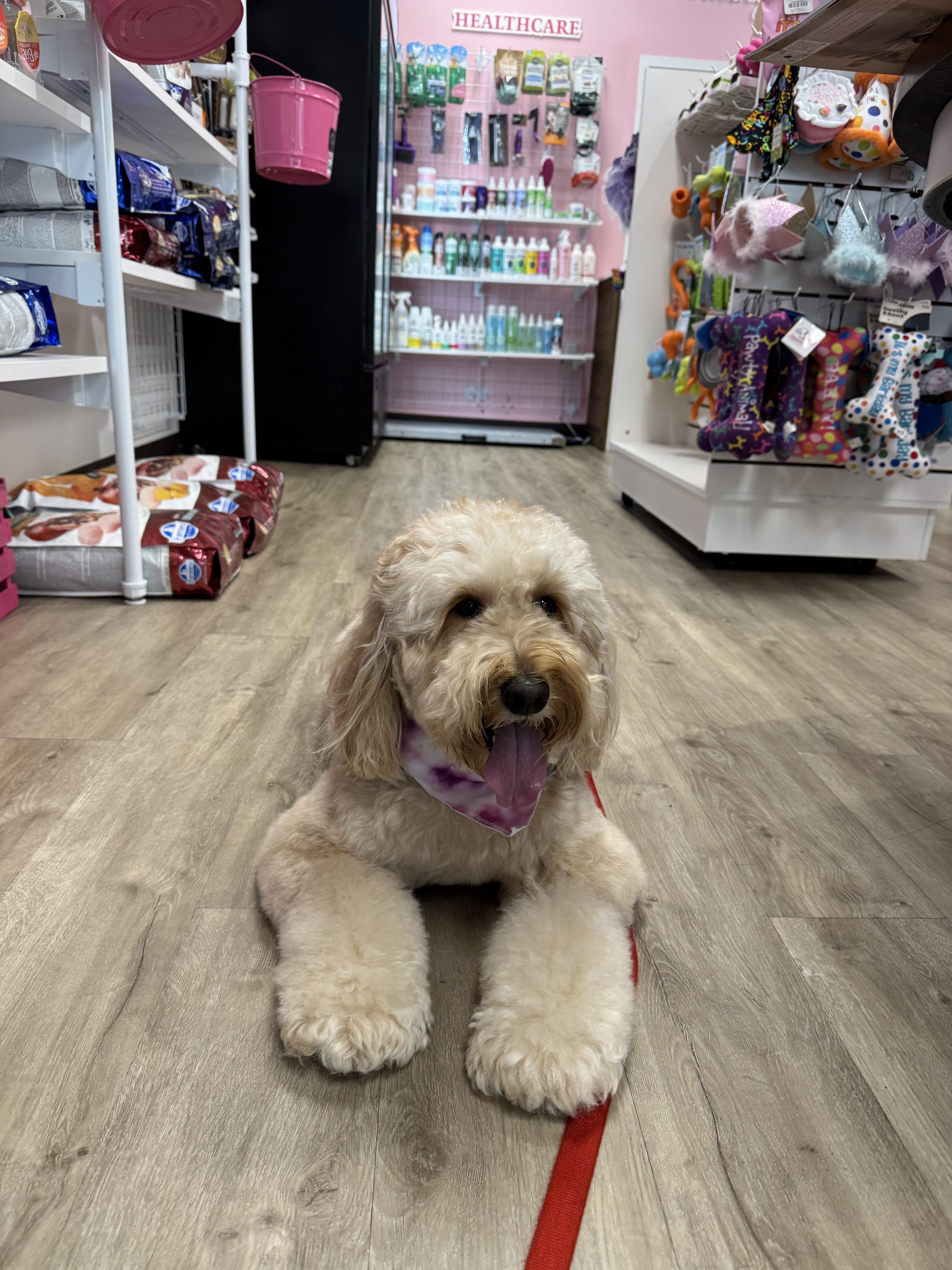 Woof Gang Bakery & Grooming Dadeland