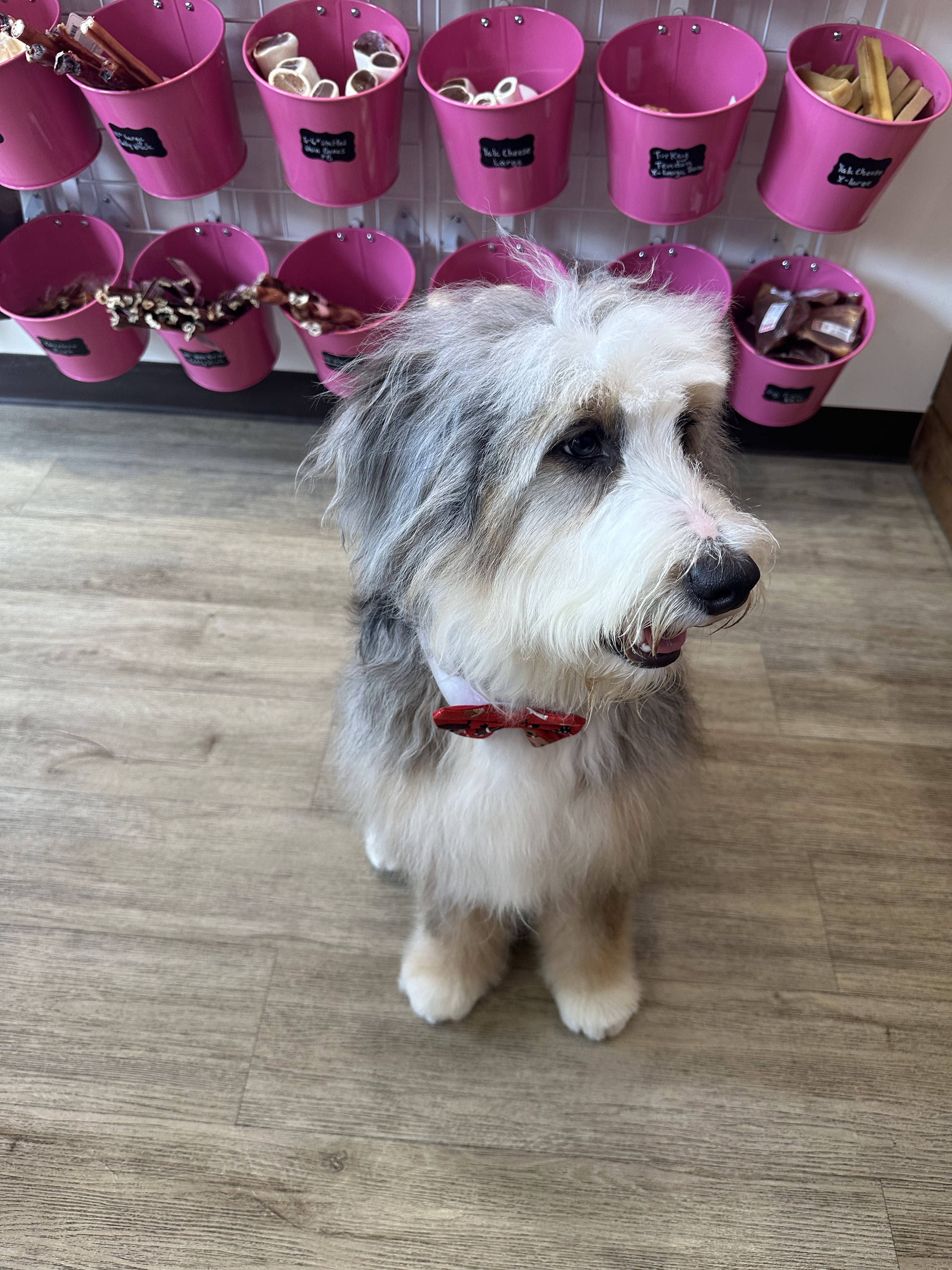 Woof Gang Bakery & Grooming Grove Central