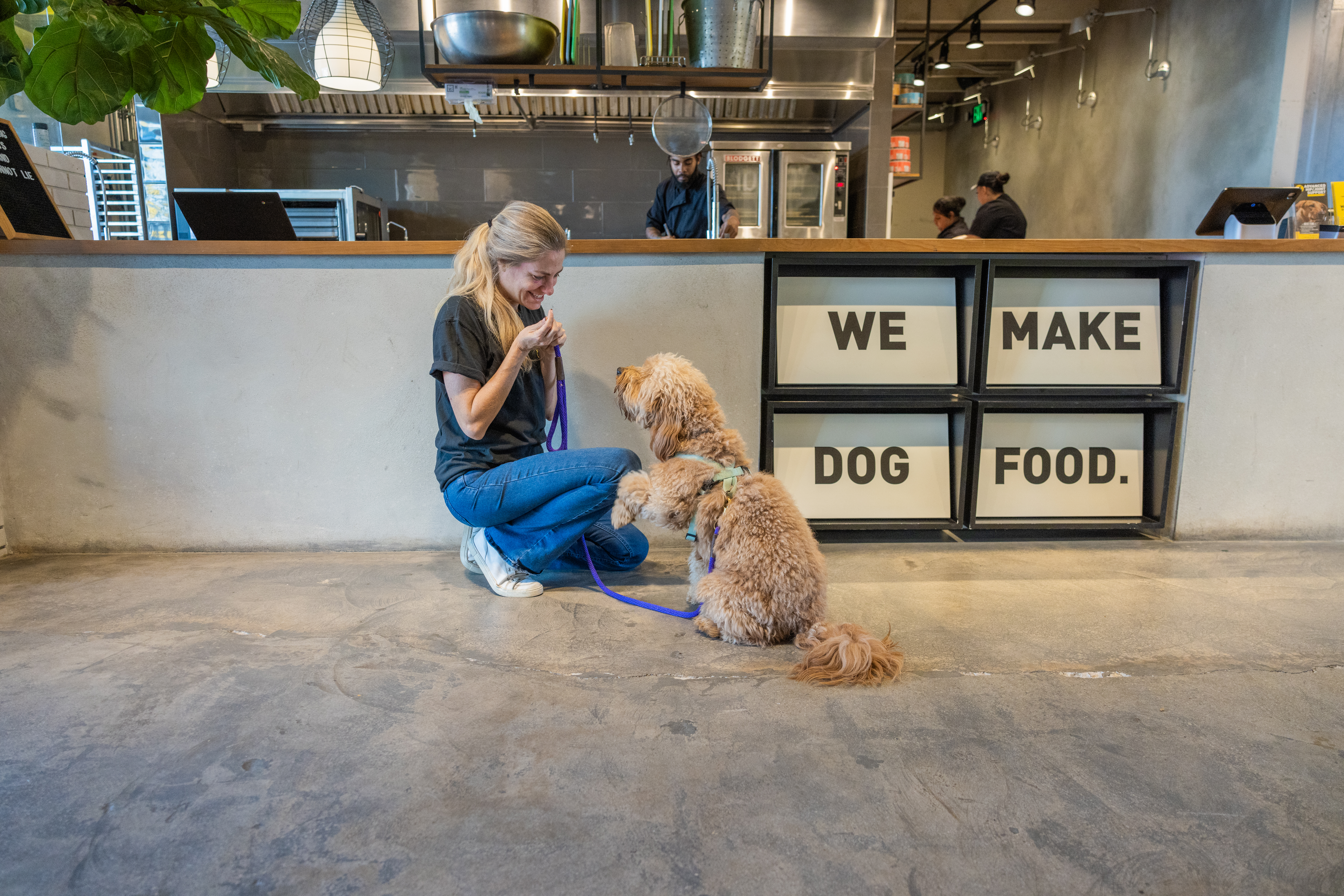 Wynwood Dog Food Co.