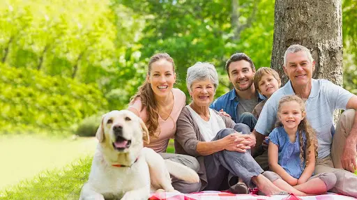 ENT Specialists of Austin