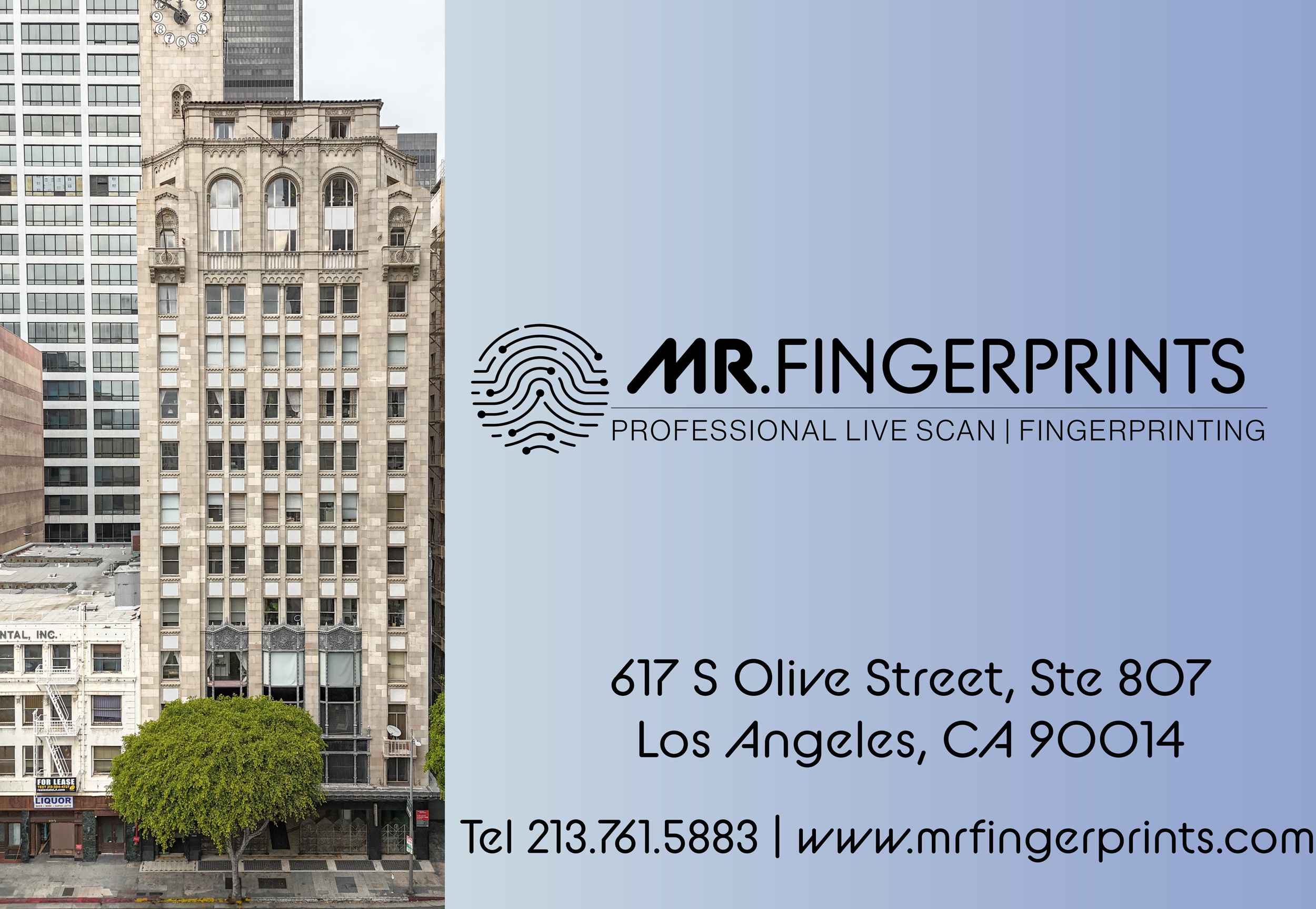 MR Fingerprints