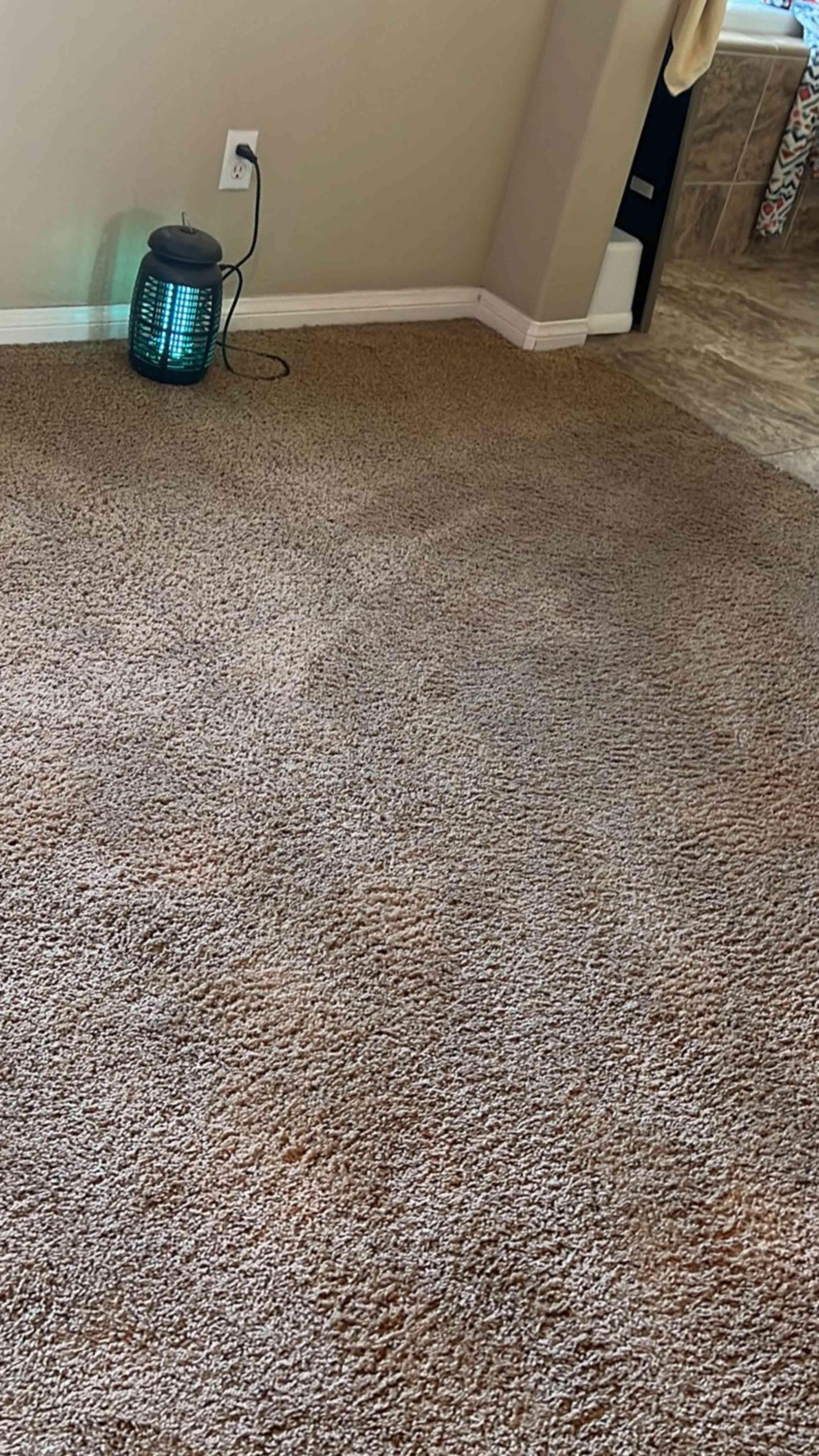Prince Of Carpet