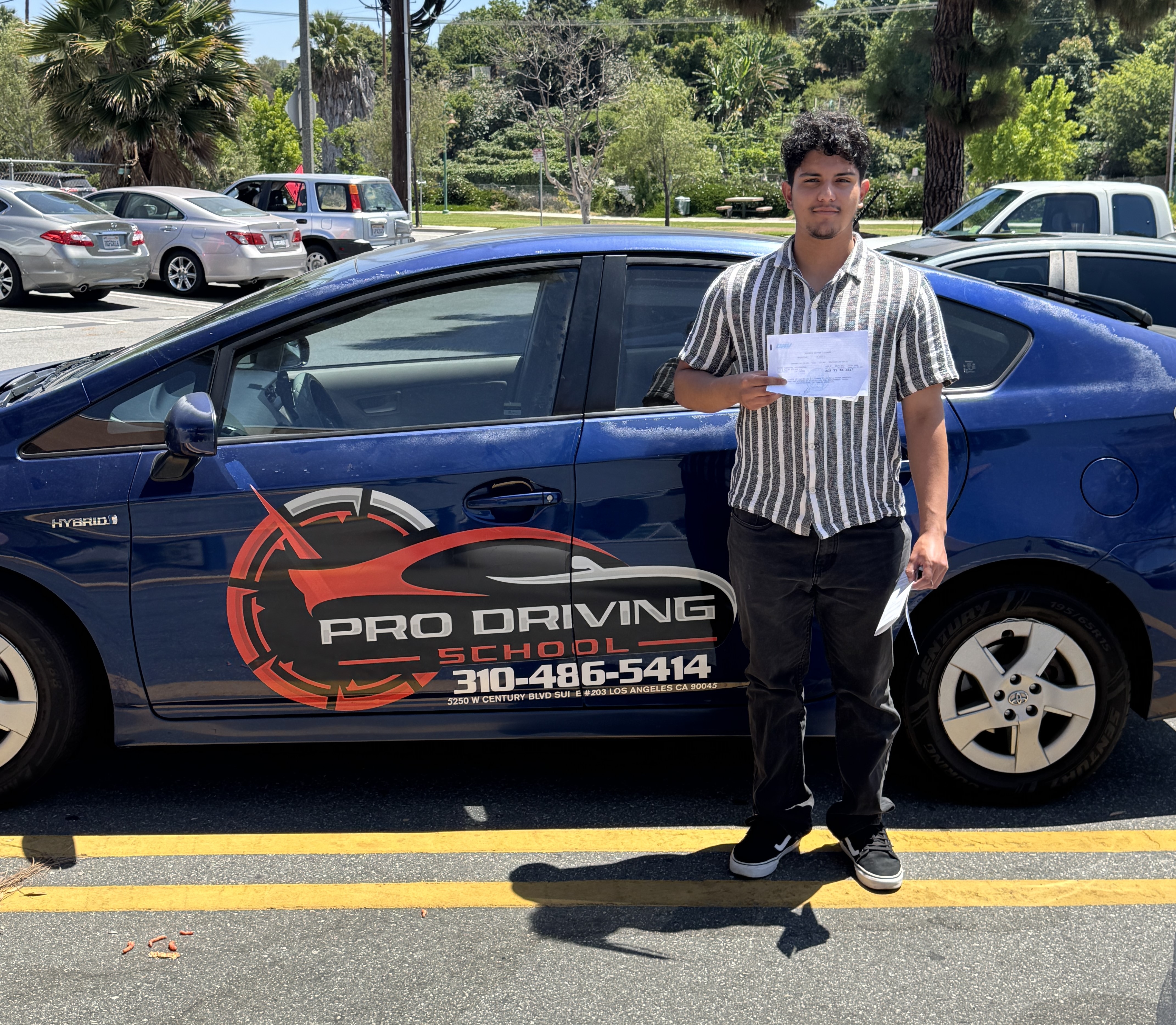 Pro Driving School