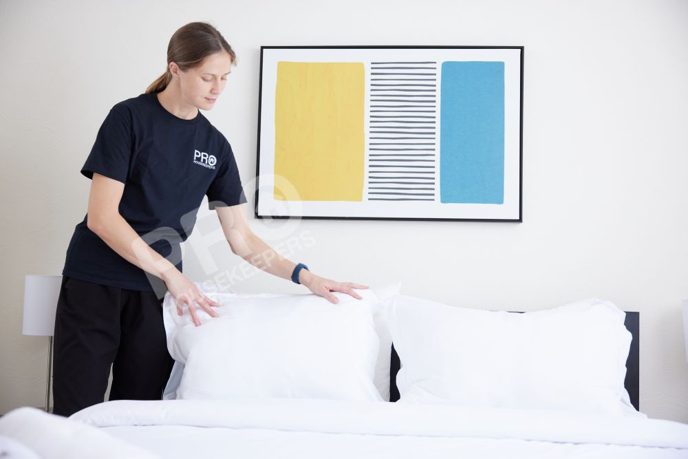 Pro Housekeepers Los Angeles