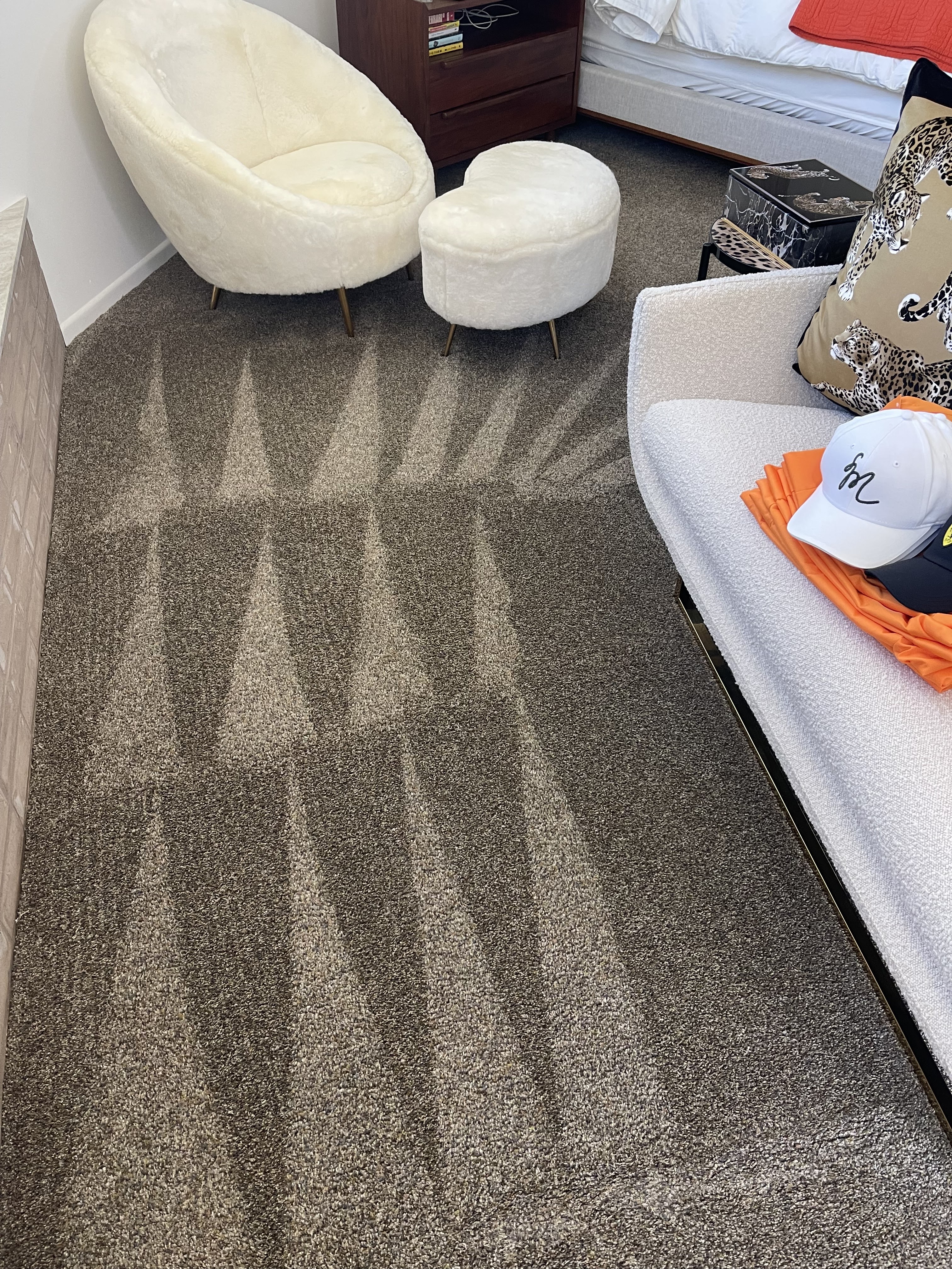 Professional Carpet Cleaning Services