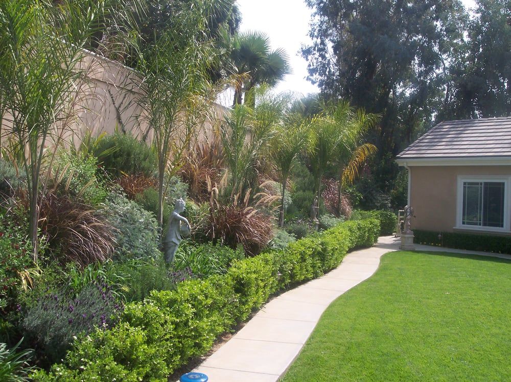 Salinas Landscaping & Tree Preservation Inc.