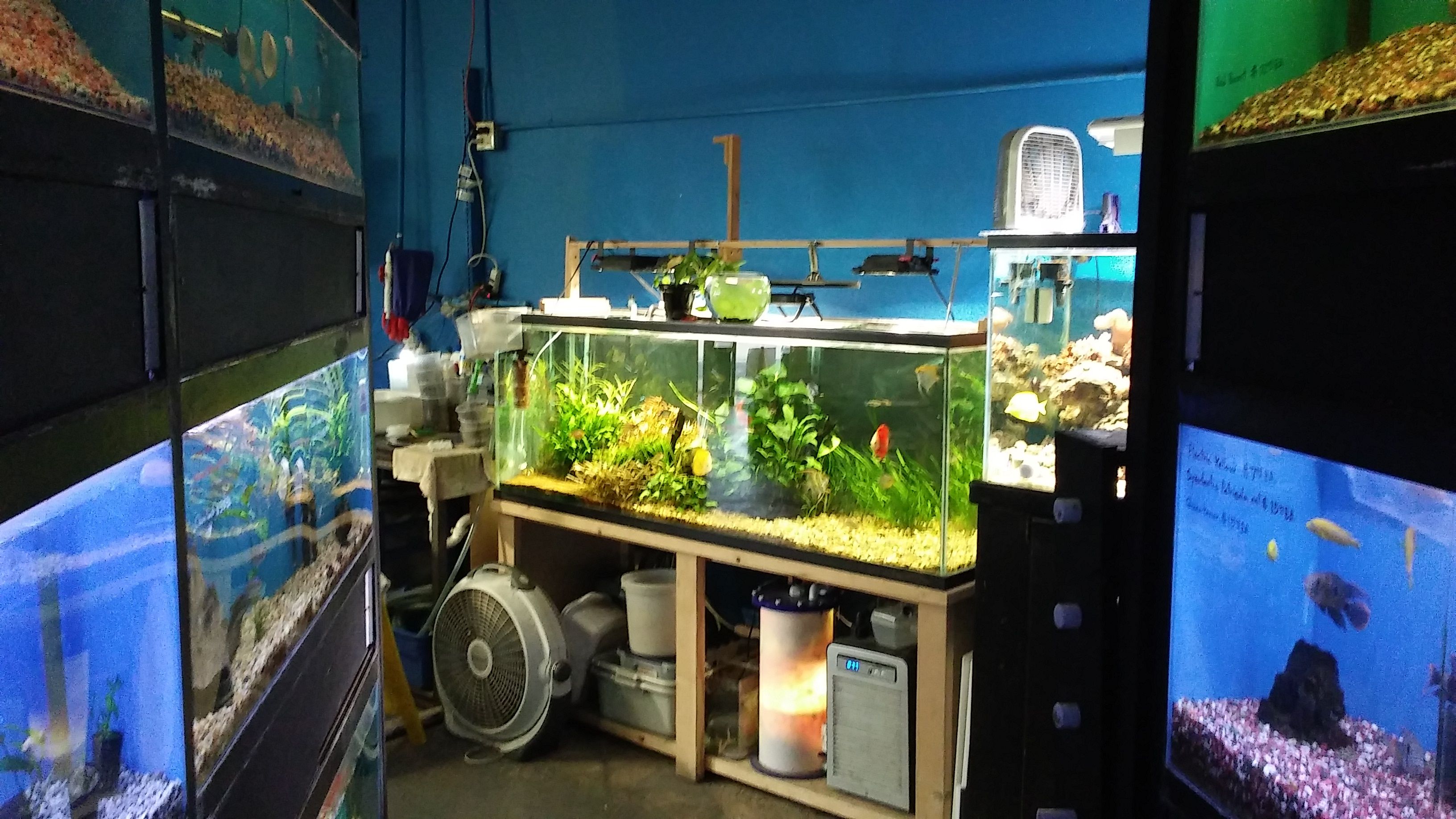 Sunset Pet & Supplies