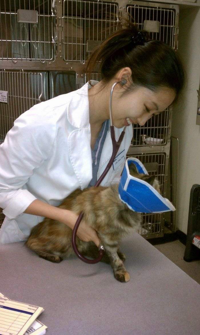 VCA Miller-Robertson Animal Hospital
