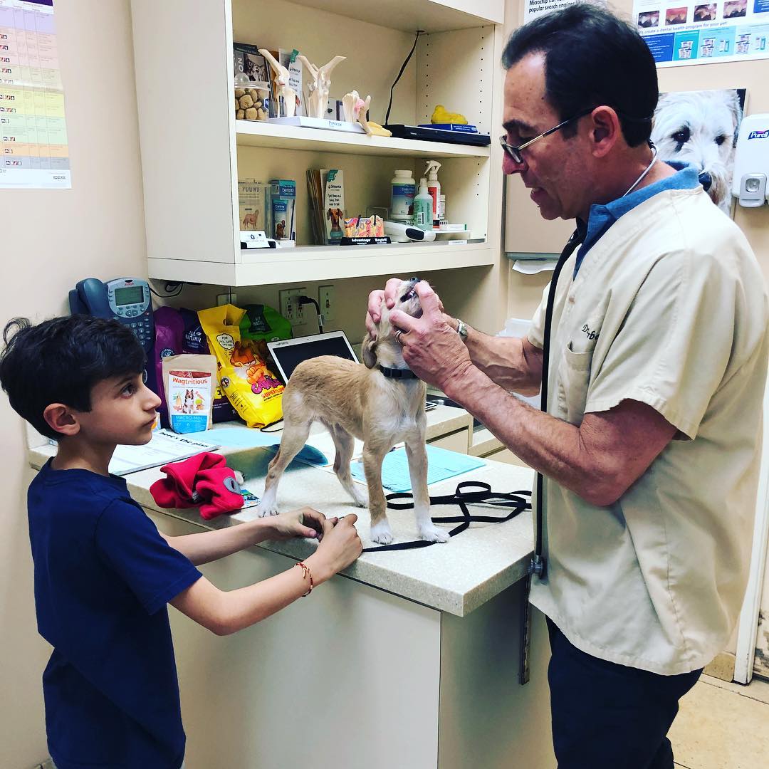 VCA Venture Animal Hospital