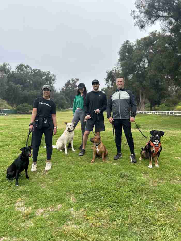 Webster's Dog Training