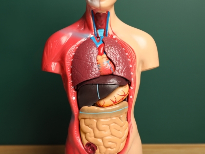 Book appointment for Internal Medicine